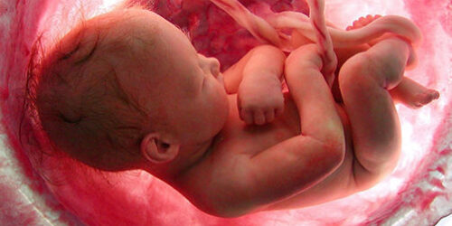 Convocação: Manifestação a favor do PL 5.069/13, que criminaliza a promoção do aborto, no próximo dia 07/11 em SP