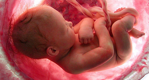 No momento, você está visualizando Convocação: Manifestação a favor do PL 5.069/13, que criminaliza a promoção do aborto, no próximo dia 07/11 em SP