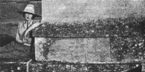 O aristocrata e a granfina