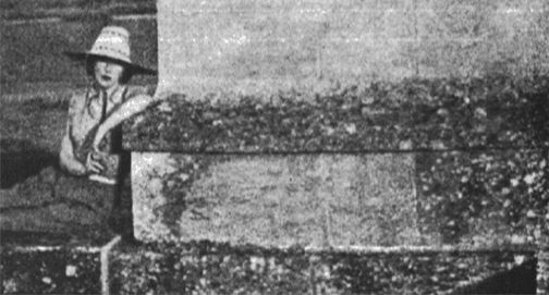 No momento, você está visualizando O aristocrata e a granfina