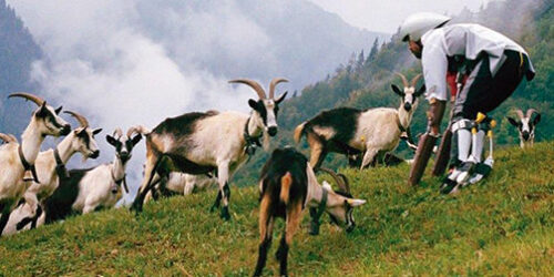 “Deus os entregou aos desejos dos seus corações”