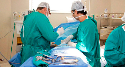 No momento, você está visualizando Falência múltipla dos órgãos