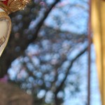 Onda de blasfêmias não poupa nem mesmo a Santíssima Virgem