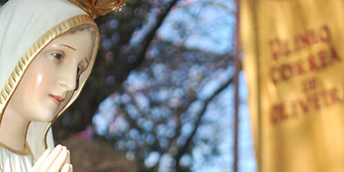 Onda de blasfêmias não poupa nem mesmo a Santíssima Virgem