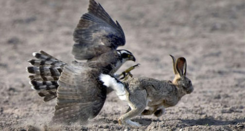 No momento, você está visualizando Verdades esquecidas, na consideração da natureza
