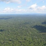 CPI investiga terra indígena em Roraima