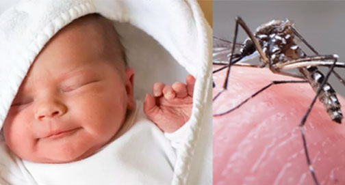 No momento, você está visualizando Devido ao zika vírus, a Igreja mudou sua posição quanto à pílula anticoncepcional?