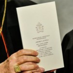 “Não vejo como se poderia interpretar o capítulo VIII da Exortação no sentido da doutrina tradicional”