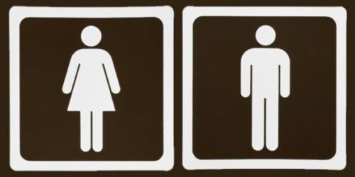 Ideologia de Gênero: Audiência Pública sobre o PEE na ALESP