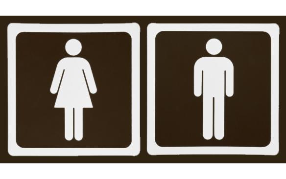 No momento, você está visualizando Ideologia de Gênero: Audiência Pública sobre o PEE na ALESP