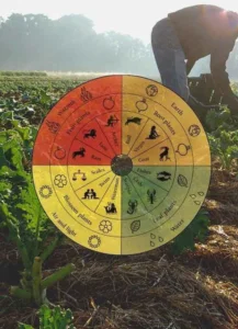 Agricultura biodinâmica 04, entre a astrologia e a superstição