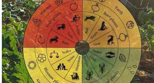 No momento, você está visualizando Governo italiano promove esoterismo ecológico