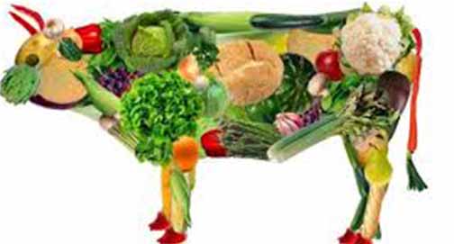 No momento, você está visualizando Chef vegano recusado  pelos pobres das ruas de Bolonha!
