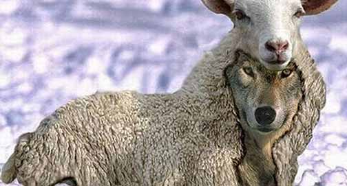 No momento, você está visualizando Vigiai! Tendes olhos e não vedes?