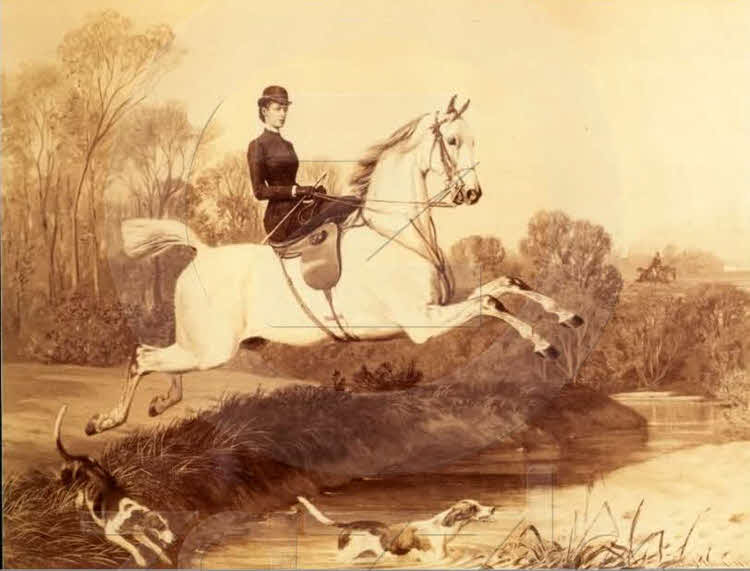 ACC_1953_028_5