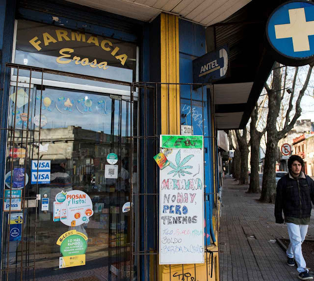 En esta imagen, tomada el 28 de junio de 2016, un cartel en la puerta de la farmacia Erosa explica que en el establecimiento no se vende marihuana, pero sí hierbas medicinales alternativas conocidas por sus efectos médicos, en el centro de Montevideo, en Uruguay. El gobierno uruguayo quiere comenzar a vender marihuana legalmente en las farmacias en las próximas semanas, pero solo 50 de 1.200 farmacias se inscribieron, abriendo un debate sobre cómo debería distribuirse la droga. (AP Foto/Matilde Campodonico)