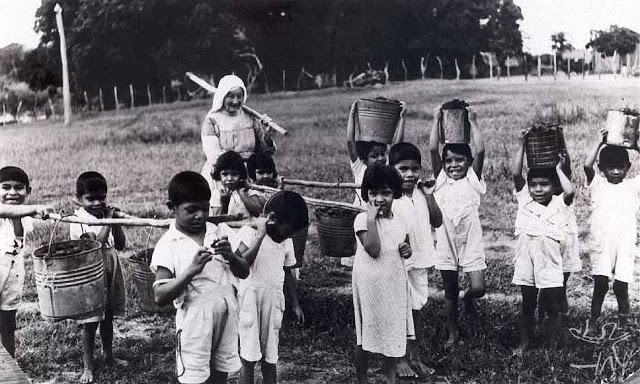 religiosa-na-missao-anchieta-entre-os-indigenas-da-amazonia-modelo-da-evangelizacao-e-civilizacao-que-o-papa-francisco-nao-quereria-segundo-d-claudio-hummes