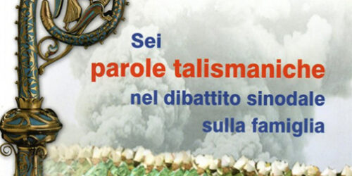 Um “novo vocabulário” para uma “pastoral revolucionária”