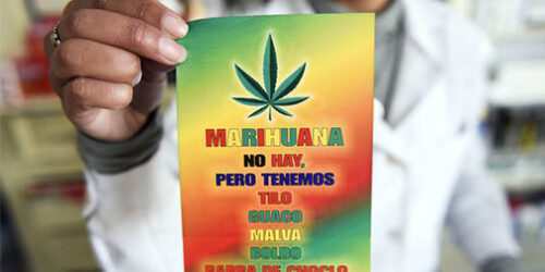 Farmácias vendedoras de maconha  na mira dos narcotraficantes