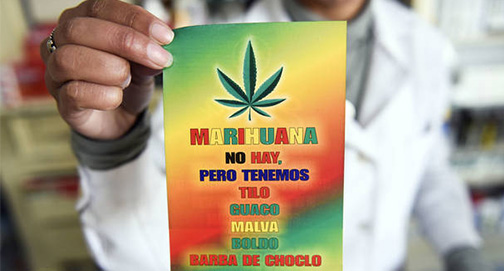 No momento, você está visualizando Farmácias vendedoras de maconha  na mira dos narcotraficantes