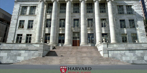 Psiquiatra de Harvard declara: mais de 50% dos universitários têm distúrbio mental