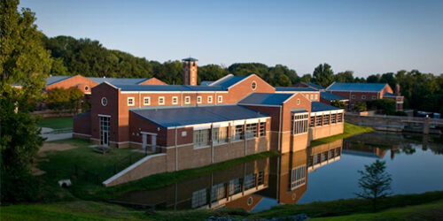 Lutemos pela castíssima virtude da Pureza!