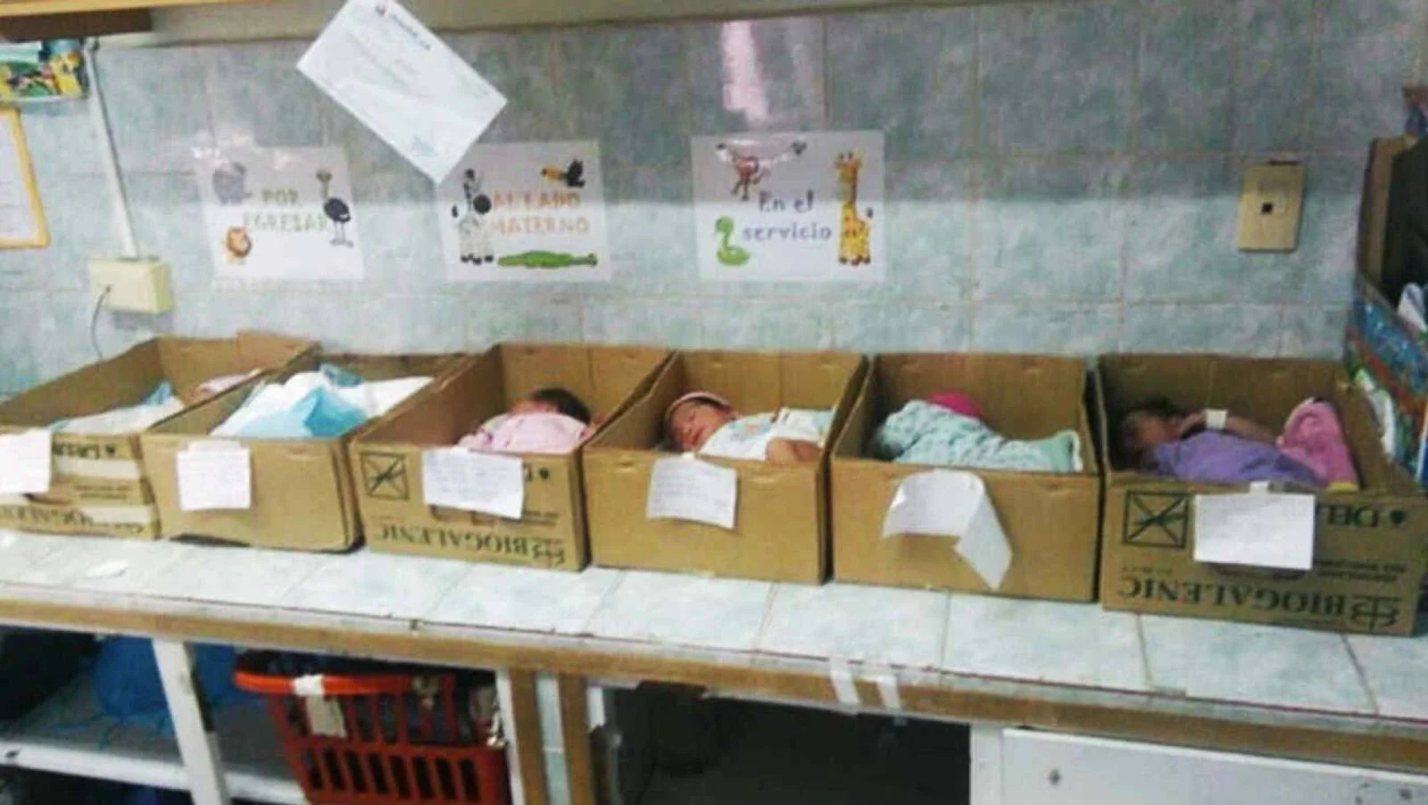 bebes-caixa-de-papelao