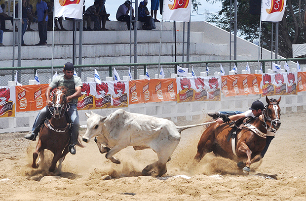 nordeste-5