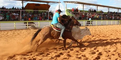 Vaquejadas e Rodeios