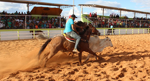 No momento, você está visualizando Vaquejadas e Rodeios