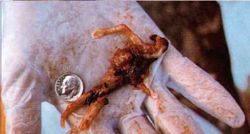 No momento, você está visualizando É questão de ideologia…