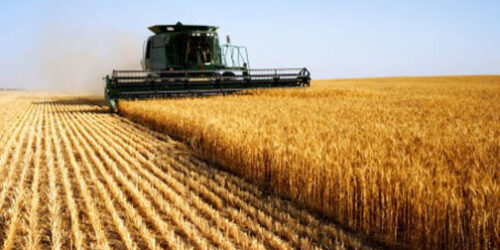 Brasil, país do futuro?