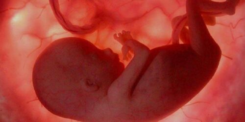 Pelo Direito de Nascer – Abaixo assinado contra a ampliação do aborto no Brasil