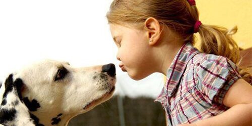 Não se deve tirar o pão dos filhos  para lançá-lo aos cães