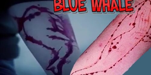 Baleia Azul: o jogo macabro da morte