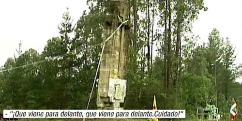 Derrubam Cruz de pedra, que lhes cai sobre a cabeça