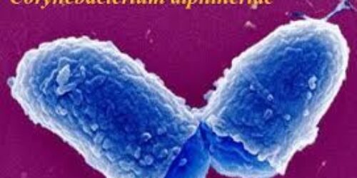 Notícias Breves – 13/09