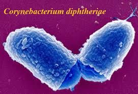 No momento, você está visualizando Notícias Breves – 13/09