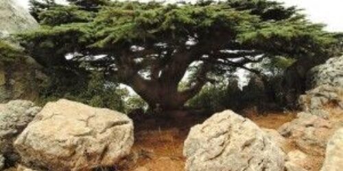 Estalactites e estalagmites em uma gruta