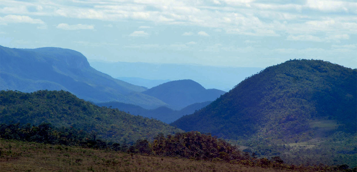 No momento, você está visualizando Efeito ótico e fracasso da democracia