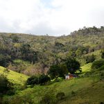 MST rejeita terra doada para fins de reforma agrária