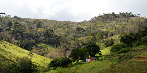 MST rejeita terra doada para fins de reforma agrária
