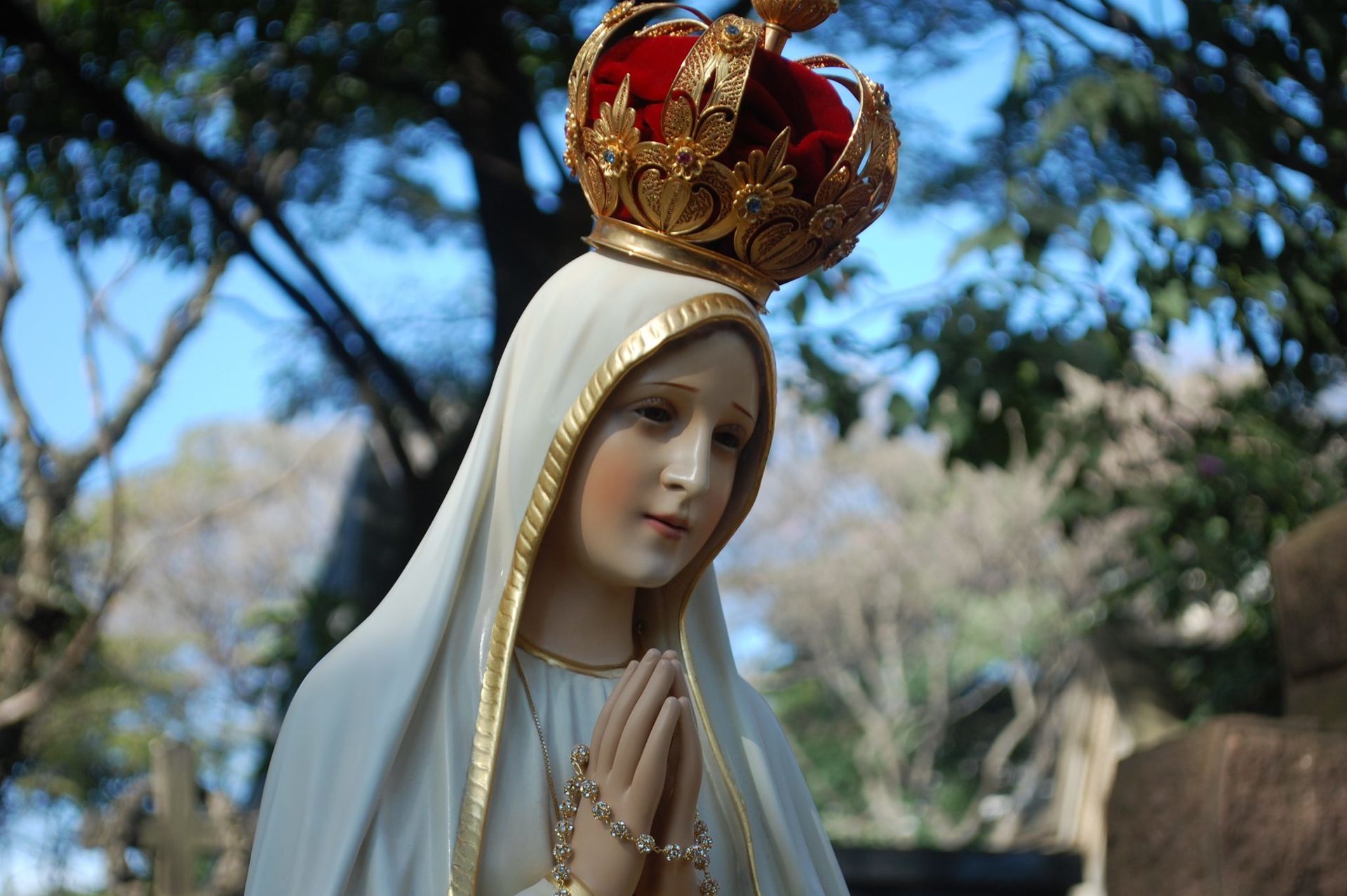 No momento, você está visualizando Santa Missa – Centenário de Fátima