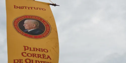 Campanha contra demarcação indígena no Paraná repercute na imprensa