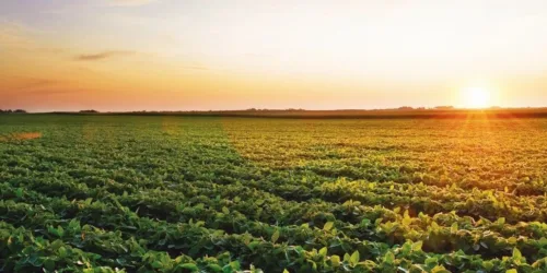 Ameaças ao avanço da safra agropecuária