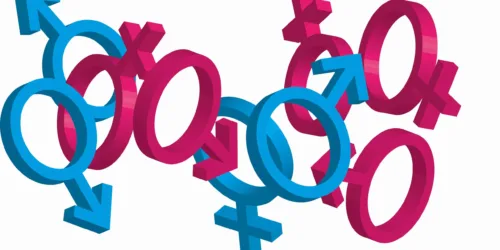 A ideologia de gênero e o princípio da não-contradição