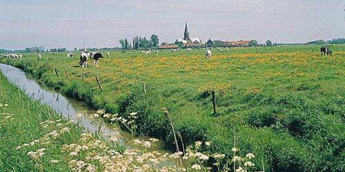 Castelos, abadias e aldeias medievais: melhor integrados na natureza que utopias “verdes”