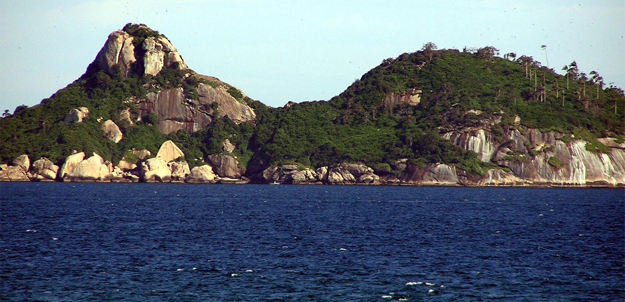 No momento, você está visualizando “Direitos” de rios e bichos (II)