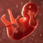 Congresso Mundial de Ginecologia e Obstetrícia ensina a prática do aborto a médicos brasileiros