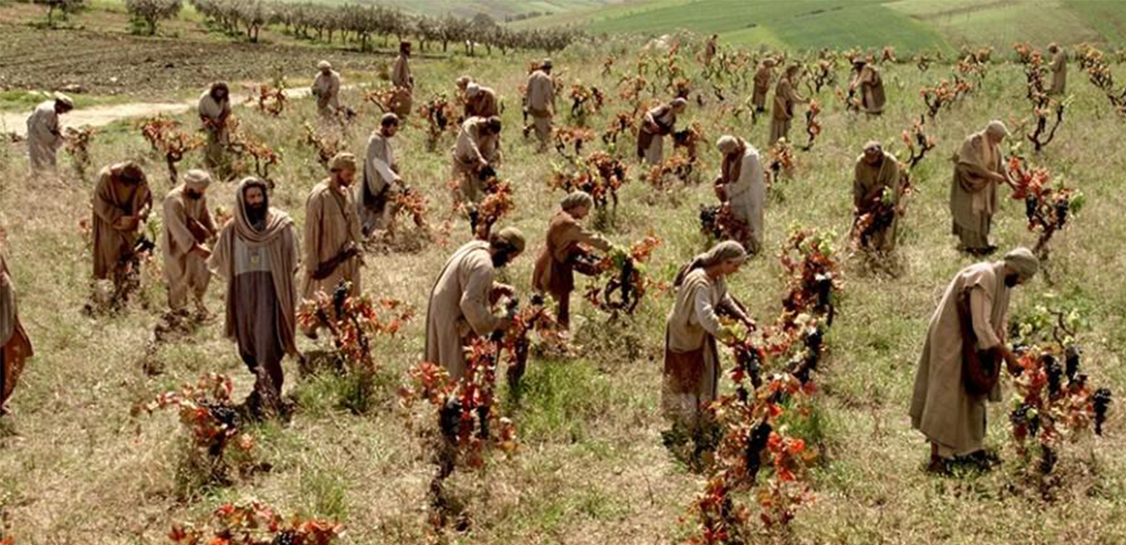 No momento, você está visualizando Edifiquemos nossa casa sobre a rocha firme